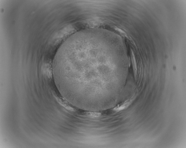 X0000059080719200510172029