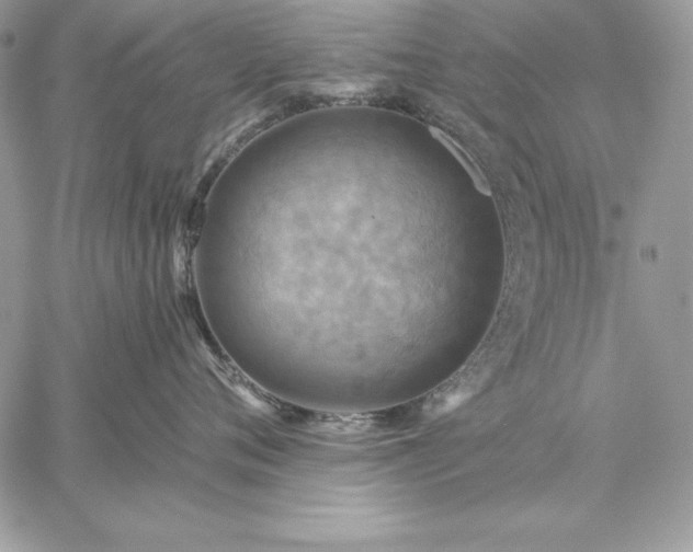 X0000059080720200510172029