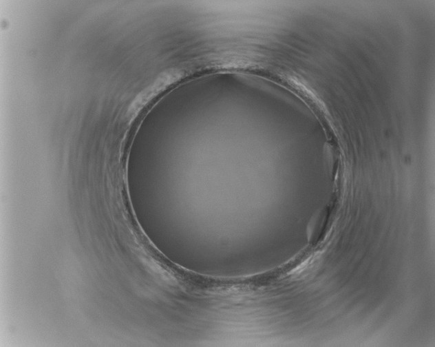 X0000059080721200510172029