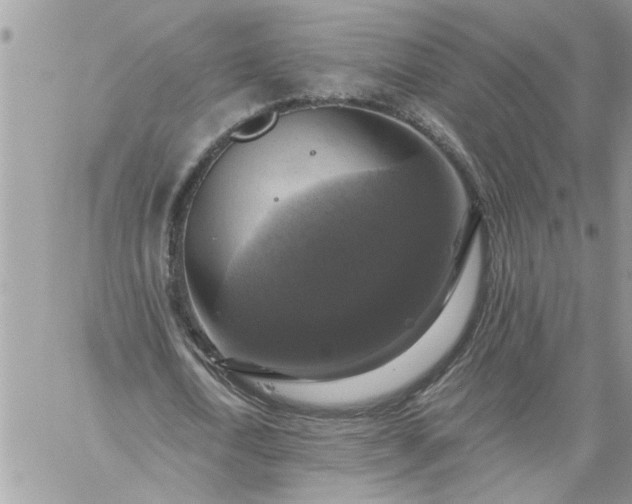 X0000059080722200510172029