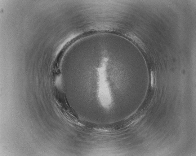 X0000059080723200510172029