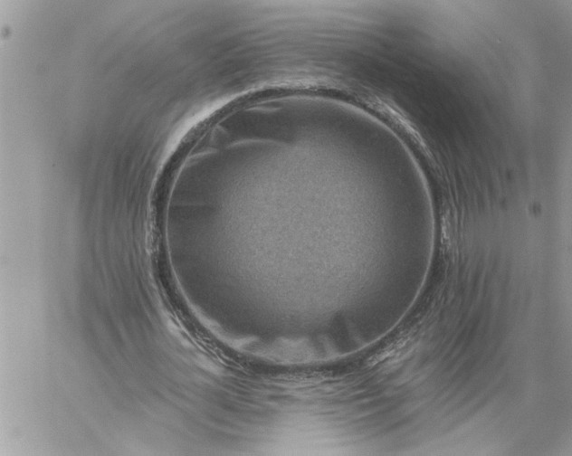 X0000059080724200510172029