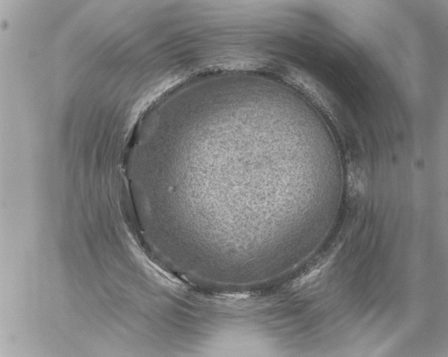 X0000059080725200510172029