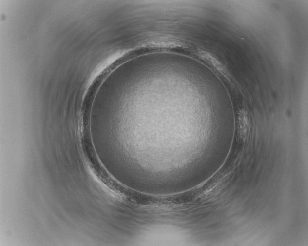 X0000059080726200510172029