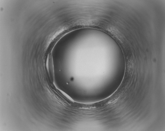 X0000059080727200510172029