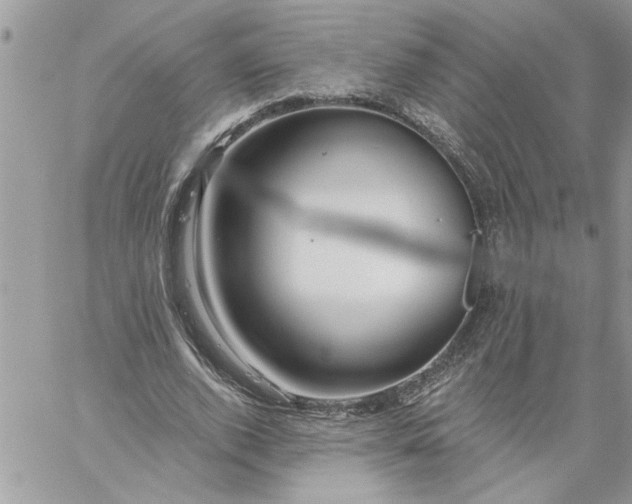 X0000059080728200510172029