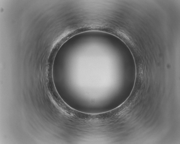 X0000059080730200510172029