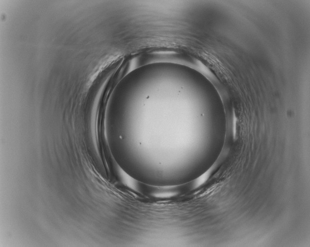 X0000059080731200510172029