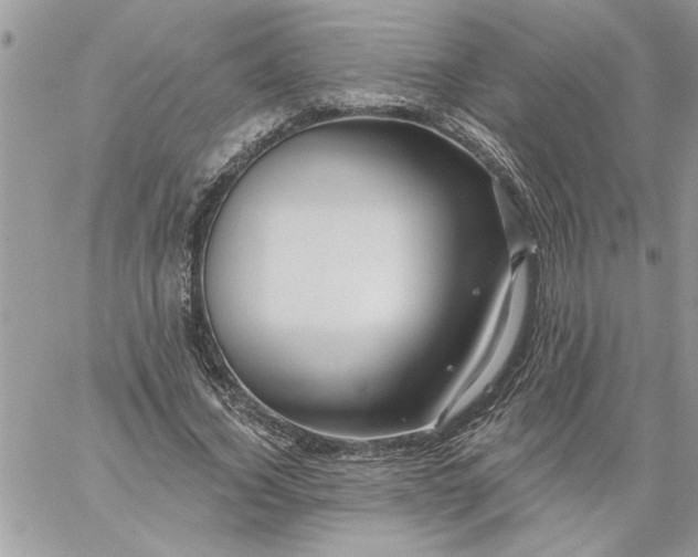 X0000059080732200510172029