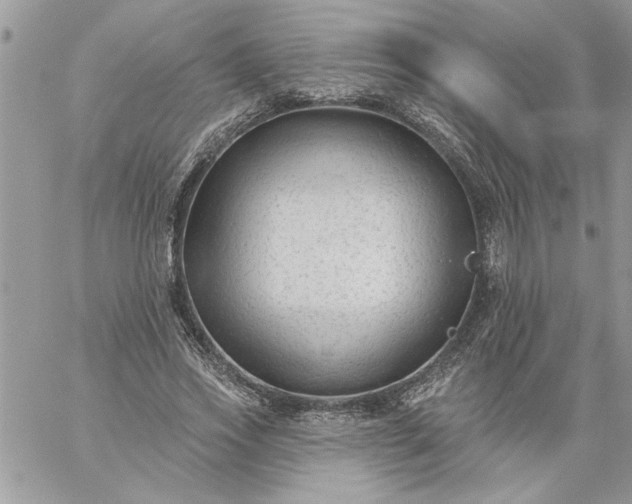 X0000059080733200510172029