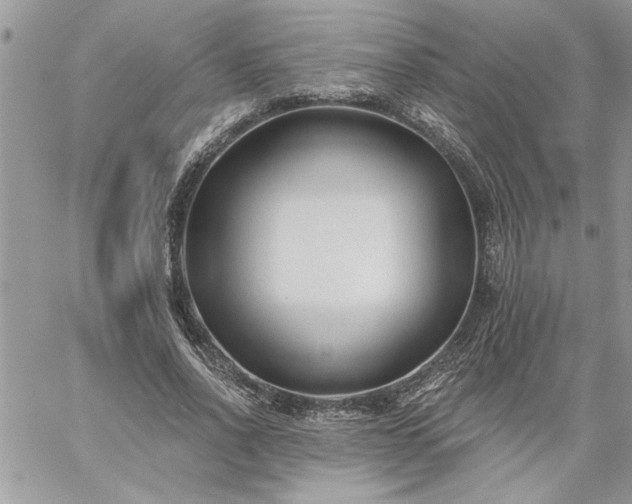 X0000059080734200510172029