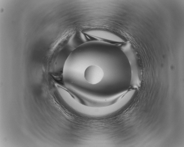 X0000059080735200510172029