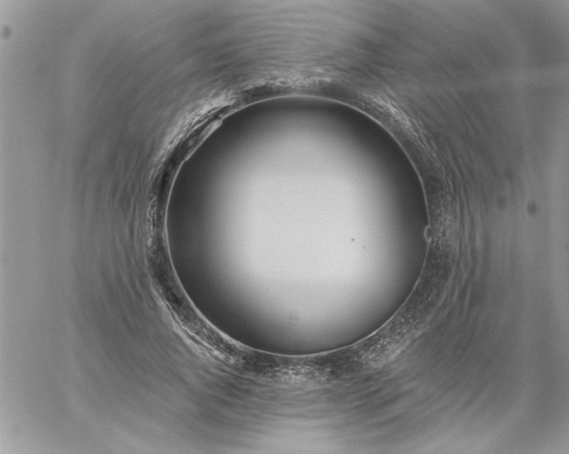 X0000059080736200510172029