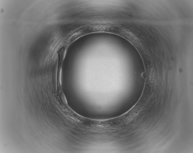 X0000059080737200510172029