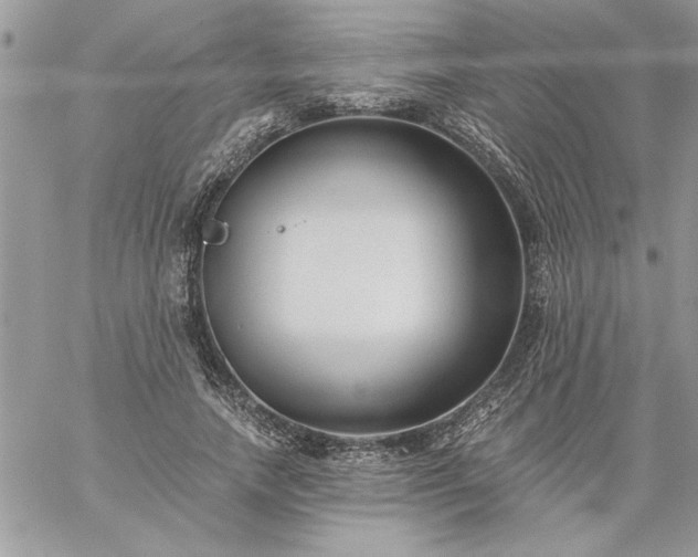 X0000059080738200510172029