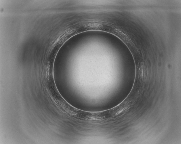 X0000059080739200510172029