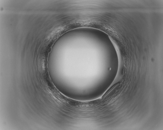 X0000059080740200510172029