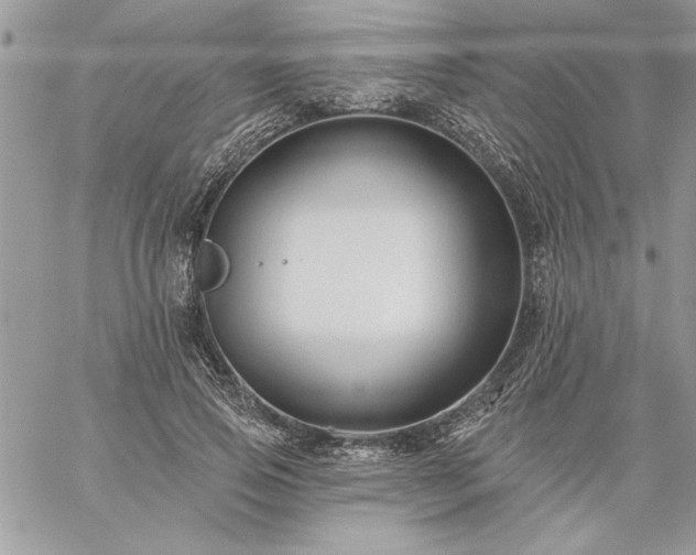 X0000059080741200510172029