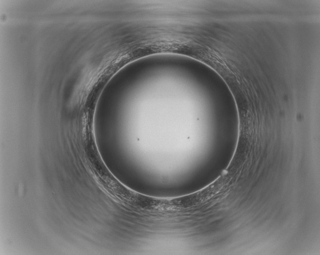 X0000059080742200510172029