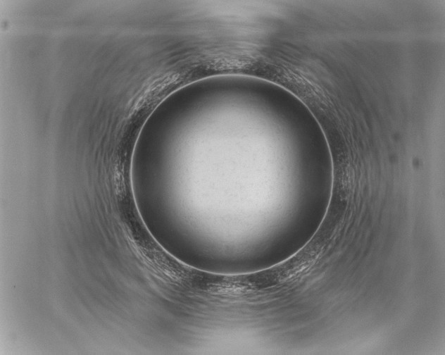 X0000059080743200510172029