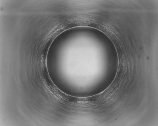 X0000059080744200510172029