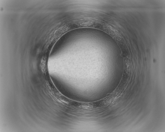 X0000059080745200510172029