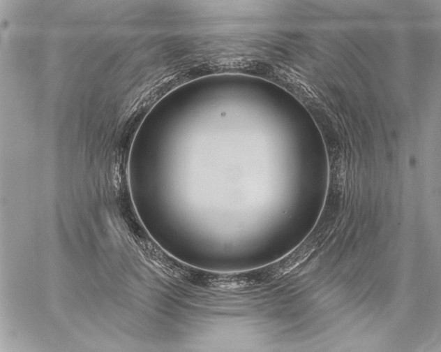 X0000059080746200510172029