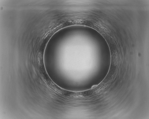 X0000059080747200510172029