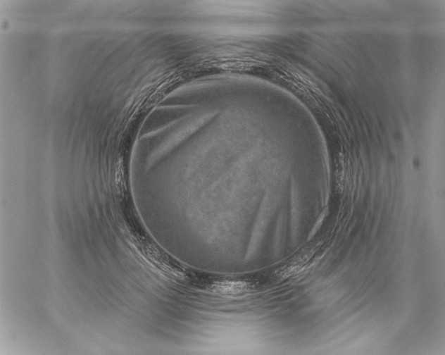 X0000059080748200510172029