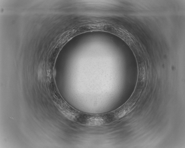 X0000059080749200510172029