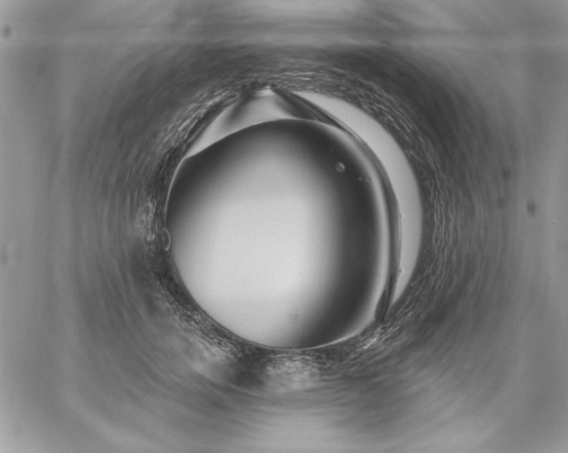 X0000059080750200510172029