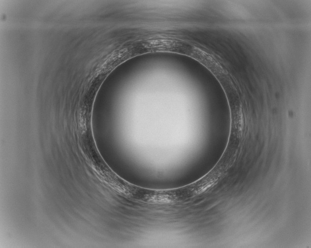 X0000059080751200510172029