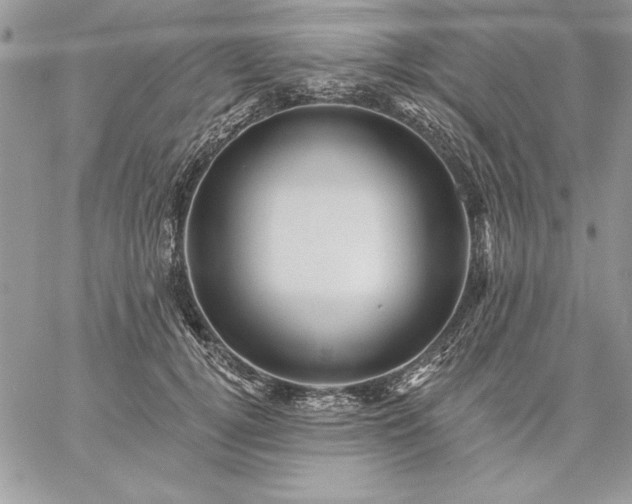 X0000059080752200510172029