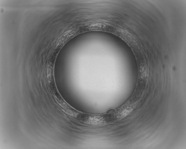 X0000059080753200510172029