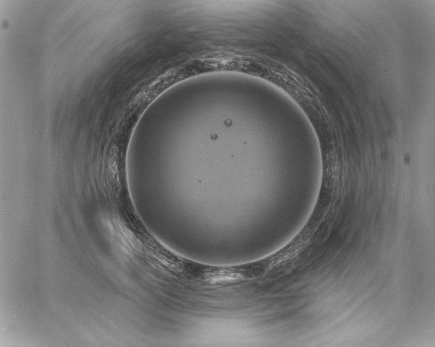 X0000059080754200510172029