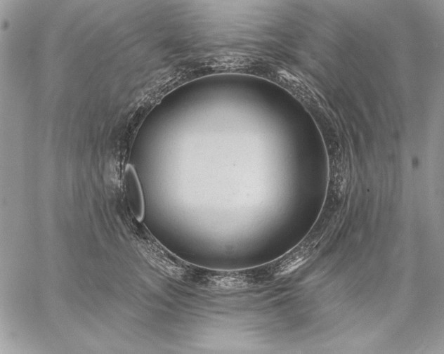 X0000059080755200510172029