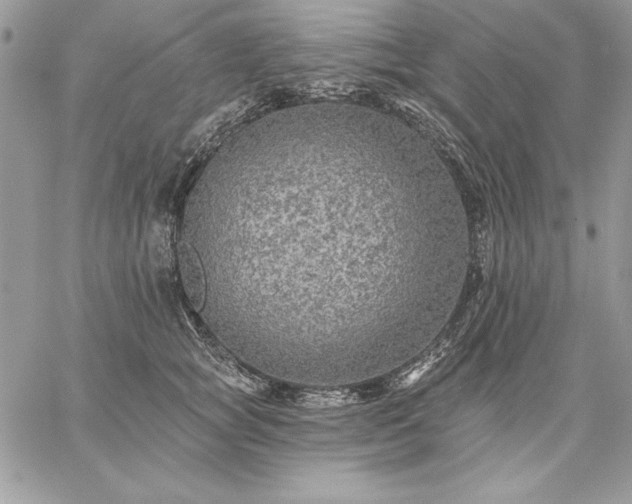 X0000059080757200510172029