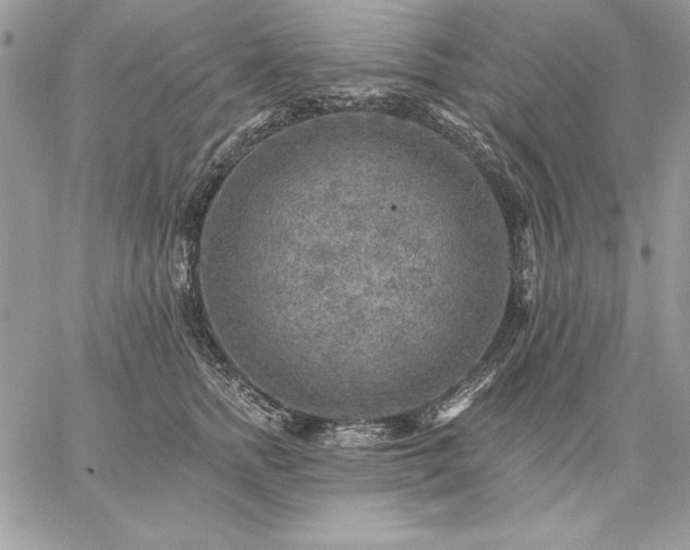 X0000059080758200510172029