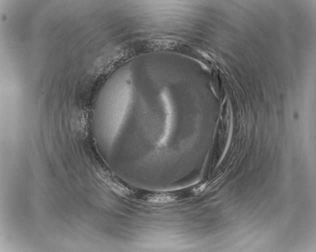 X0000059080759200510172029