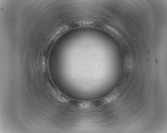 X0000059080761200510172029