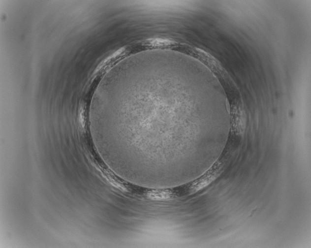 X0000059080762200510172029