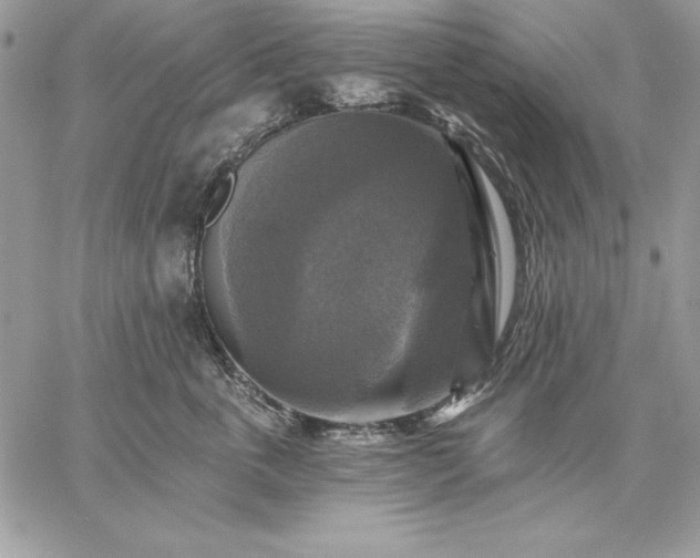 X0000059080763200510172029