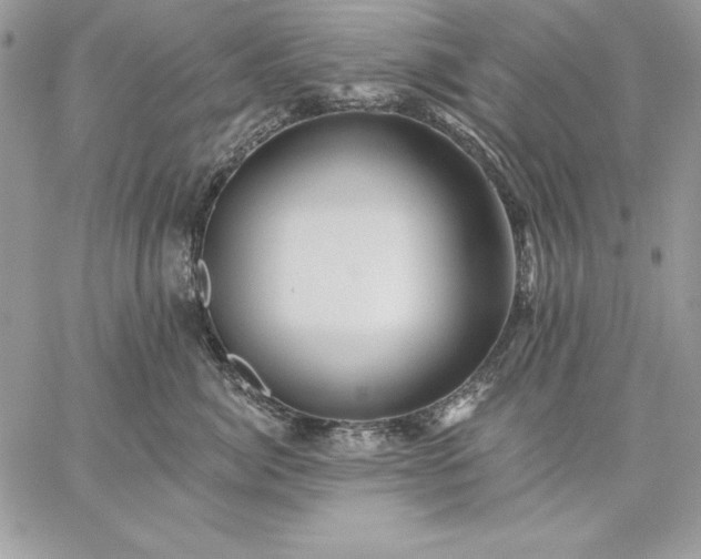 X0000059080764200510172029