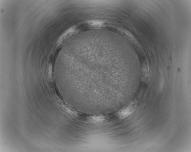 X0000059080765200510172029