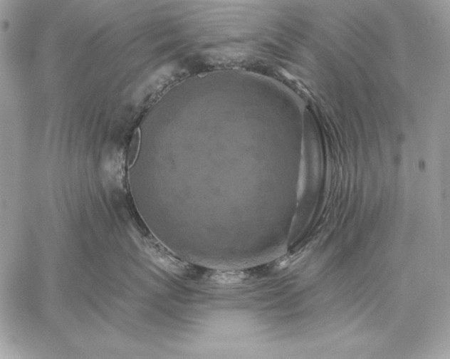 X0000059080767200510172029