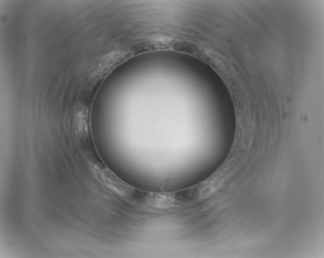 X0000059080768200510172029