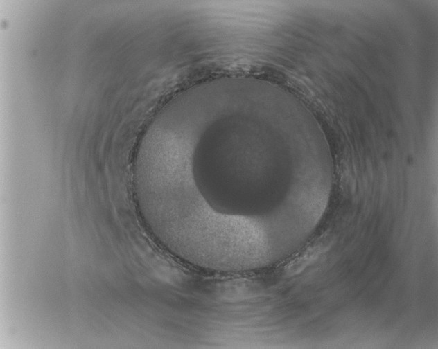 X0000059080769200510172029