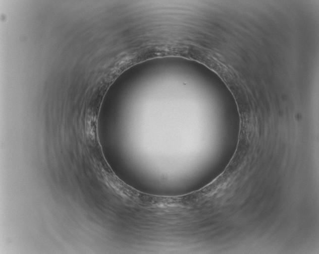 X0000059080770200510172029