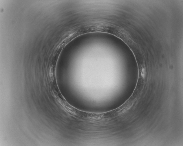 X0000059080771200510172029