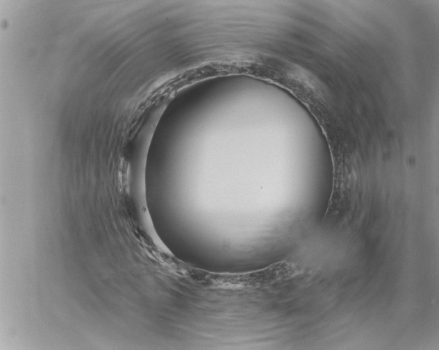 X0000059080773200510172029